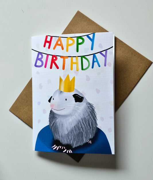 Birthday Possum Greeting Card