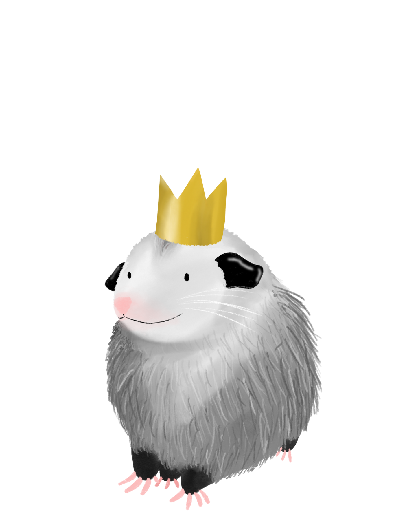 Birthday Possum Sticker