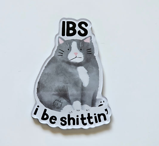 IBS Magnet