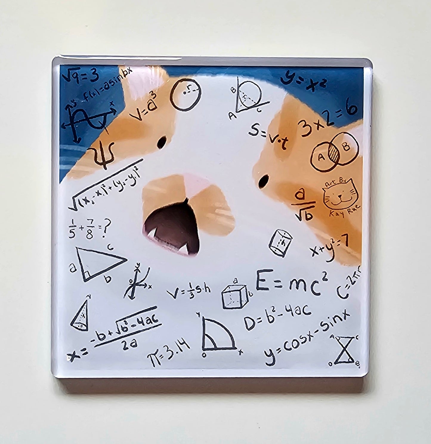Math Crisis Magnet