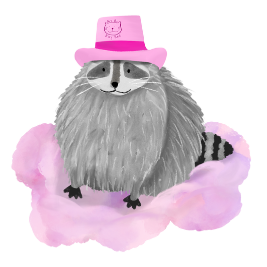 Racoon Cloud Sticker