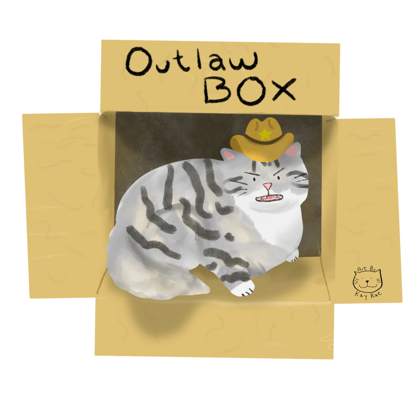 Outlaw Box Sticker